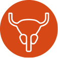 Prostate
